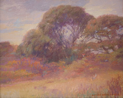 Landscapes